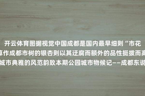 开云体育图据视觉中国成都是国内最早细则“市花市树”的城市之一那么算作成都市树的银杏则以其迂腐而额外的品性挺拔而高耸的英姿体现了这座城市典雅的风范韵致本期公园城市物候记——成都东说念主的银杏季随着小编一齐走近银杏感受这座城与这棵树的故事拖动空缺处使长图上沿对王人屏幕顶部以获取最好千里浸体验开启蓉城金色之旅‍‍‍‍‍‍‍一个城市有什么恒久与一代代东说念主相伴却比东说念主的人命更为遥远的呢？在成都幸得有