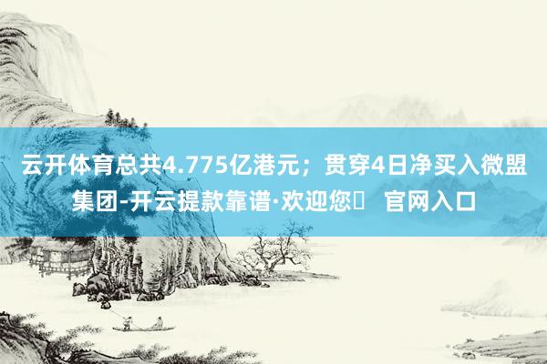 云开体育总共4.775亿港元；贯穿4日净买入微盟集团-开云提款靠谱·欢迎您✅ 官网入口